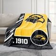 thumbnail image 2 of Logo Brands Southern Mississippi Golden Eagles 60"x70" Super Plush Blanket, 2 of 6