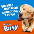 thumbnail image 10 of Purina Busy With Peanut Butter Small/Medium Breed Dog Treats, 18 ct., 10 of 10