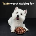 thumbnail image 8 of Cesar Filets in Gravy Wet Dog Food Steak and Poultry Variety Pack, 3.5 oz., 48 ct., 8 of 9