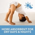 thumbnail image 7 of Member's Mark Premium Baby Diapers, Sizes Newborn - 8, 7 of 16