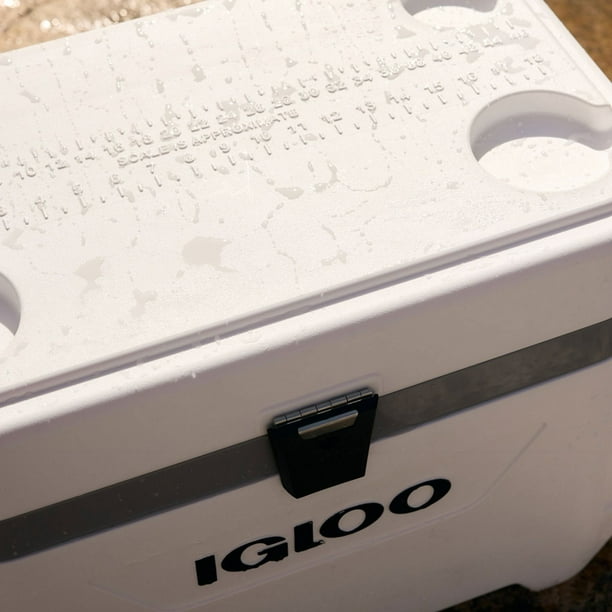 Glacière Igloo Marine Ultra 54 Qt (environ 51 Litres) Neuve Sous Emballage