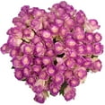 thumbnail image 6 of Member's Mark Illusion Roses, 96 stems, Choose color variety, 6 of 7