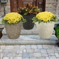 thumbnail image 1 of Member's Mark Garden Planter, 1 of 8