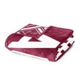 thumbnail image 5 of Logo Brands New Mexico State Aggies 60"x70" Super Plush Blanket, 5 of 6