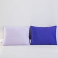 thumbnail image 4 of Kids Licensed 2-Pack Cloud Plush Pillow Set, 20" x 26", 4 of 8