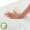 thumbnail image 3 of Imaginarium 2-Pack Memory Foam Huggy Pillow, 3 of 7