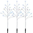 thumbnail image 2 of Member's Mark Pre-Lit Blossom Pathway Lights, Set of 3, 2 of 7