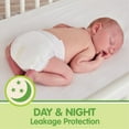thumbnail image 7 of Member's Mark Premium Baby Diapers (Choose Your Size), 7 of 14
