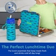 thumbnail image 5 of Bentgo Kids 2-Pack Stainless Steel Lunch Box & Water Bottle Set, 5 of 6