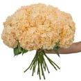 thumbnail image 2 of Member's Mark Color Enhanced Hydrangeas, 20 stems, choose color, 2 of 4