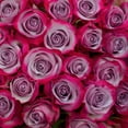 thumbnail image 2 of Member's Mark Ecuadorian Premium Roses, choose color variety and stem count, 2 of 8