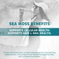 thumbnail image 4 of TruLabs Sea Moss Drink Mix Powder Pink Citrus and Dragon Fruit Lime 30 ct., 4 of 8