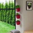 thumbnail image 5 of Mayne Valencia 8" Wall Mount Planter, Set of 3, 5 of 10