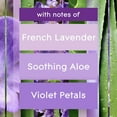 thumbnail image 5 of Glade PlugIns Scented Essential Oil Refills, Choose Scent 6.39 fl. oz., 9 ct., 5 of 12