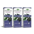 thumbnail image 1 of BUNDLE: Sambucus Standardized Elderberry Original Syrup, Immune Support, 4 fl. oz., 3 ct., 1 of 6