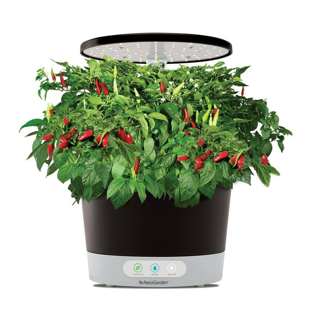 AeroGarden Harvest 360 Hydroponic Garden Bundle with Extra Seed Pod Kit -  Samsclub.com