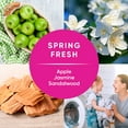 thumbnail image 4 of Ensueño Max Liquid Fabric Softener, Spring Fresh Scent 304 fl. oz., 257 loads, 4 of 7