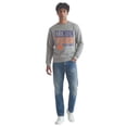 thumbnail image 4 of Champion NCAA Grey Crewneck Sweatshirt, 4 of 6