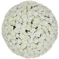 thumbnail image 1 of Member's Mark Mini Carnations, Choose color and stem count, 1 of 6