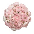 thumbnail image 1 of Ranunculus, 60 stems, choose color, 1 of 5