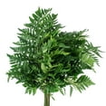 thumbnail image 3 of Member's Mark Gypsophila and Leatherleaf 10 bunches, 3 of 4