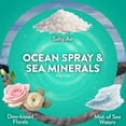 thumbnail image 5 of Air Wick plug In Scented Oil Air Freshener Refills, Ocean Spray, 9 refills, 5 of 11