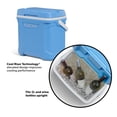 thumbnail image 3 of Igloo 30-Quart Cooler, 3 of 14