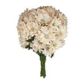 thumbnail image 3 of Member's Mark Painted Poms, 60 Stems, choose color, 3 of 4