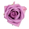 thumbnail image 2 of Member's Mark Ecuadorian Premium Roses, choose color variety and stem count, 2 of 8