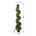 thumbnail image 6 of Faux 5' Spiral Topiary in Black Grower's Pot, 6 of 6