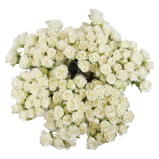 Member's Mark Spray Roses, Choose color variety and stem count
