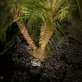 thumbnail image 4 of Deck Impressions Solar 15 Lumen Mini Rock Lights, 6-Pack, 4 of 4
