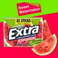 thumbnail image 5 of Extra Sweet Watermelon Sugar Free Chewing Gum, 35 pcs., 6 ct., 5 of 9