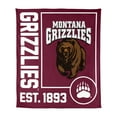 thumbnail image 1 of Logo Brands Montana Grizzlies 60"x70" Super Plush Blanket, 1 of 6