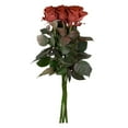 thumbnail image 5 of Member's Mark Farm Fresh Velvet Roses, choose color and stem count, 5 of 8
