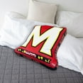 thumbnail image 2 of Logo Brands Maryland Terrapins XL Puff Pillow, 2 of 5