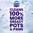 thumbnail image 8 of Dawn Professional Plus Manual Pot & Pan Dish Detergent, 1 gal., 8 of 10