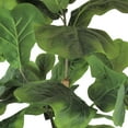 thumbnail image 2 of Faux 30" Fig Tree in Woven Basket, 2 of 6