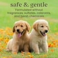 thumbnail image 5 of Burt's Bees, Oatmeal Dog Shampoo, 32 fl. oz., 2 pk., 5 of 8