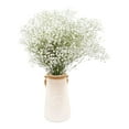 thumbnail image 3 of Member's Mark Gypsophila, choose variety and quantity, 3 of 5