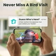 thumbnail image 6 of Birdfy Standard Smart Bird Feeder, 6 of 12