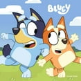 thumbnail image 8 of Bluey Cereal, 31.2 oz., 8 of 8
