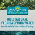 thumbnail image 8 of Zephyrhills 100% Natural Spring Water 16.9 fl. oz., 40 pk., 8 of 9