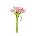 thumbnail image 2 of Member's Mark Tulips, 50 stems, 2 of 3