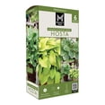 thumbnail image 1 of Member's Mark Hosta Combo Pizzazz & August Moon Dormant Bulbs, 6pk, 1 of 9