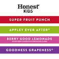 thumbnail image 4 of Honest Kids Organic Fruit Juice Drink Boxes Variety Pack 6 fl. oz., 40 pk., 4 of 6