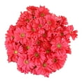 thumbnail image 2 of Member's Mark Gerbera Daisies, choose color and stem count, 2 of 4