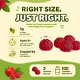 thumbnail image 4 of Members Mark Children's Fiber Gummies, 100 Ct., 4 of 7
