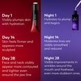 thumbnail image 4 of Olay Regenerist Repair Skincare Kit, 4 of 9