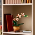 thumbnail image 6 of LEGO Botanicals Mini Orchid Building Set for Adults, 274 pc., 6 of 6